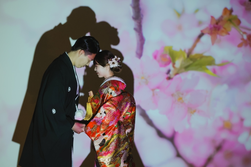 スクリーンの桜で一味変えて