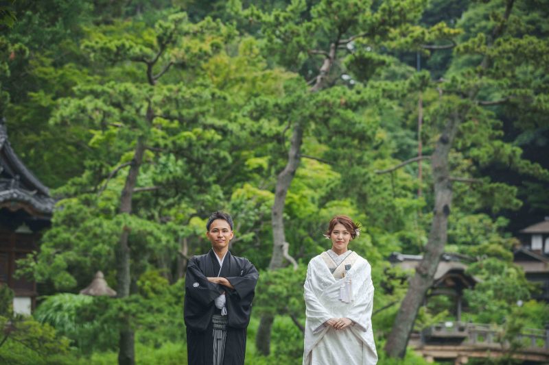 緑が鮮やかな梅雨の季節