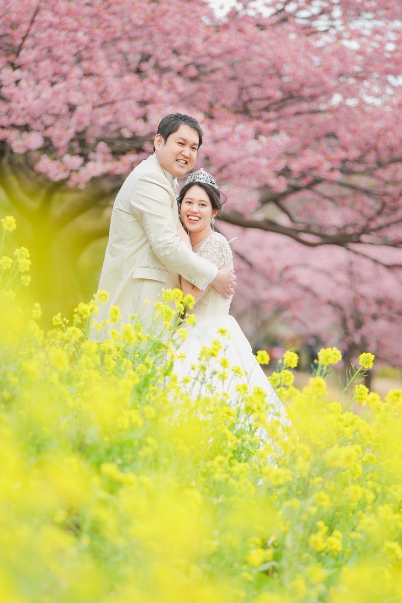 菜の花と桜のコントラストが綺麗