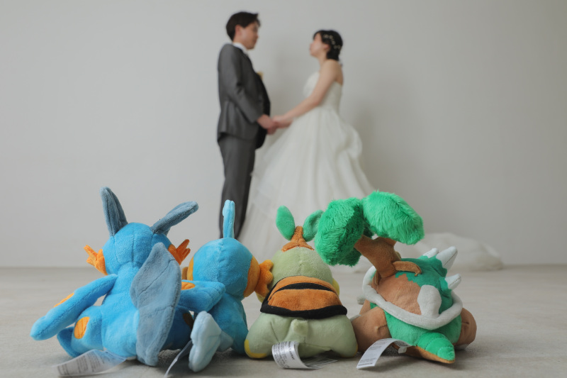 見守るポケモン