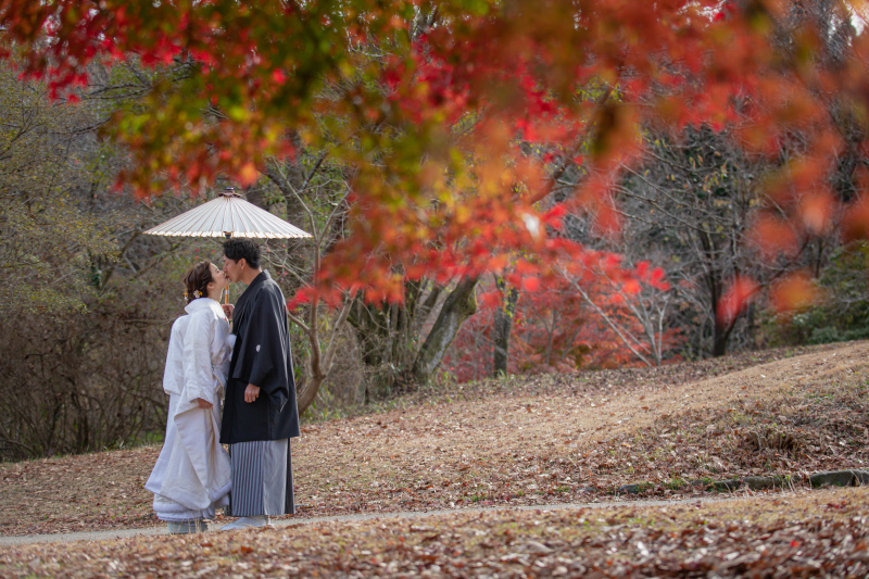 紅葉の隙間から、