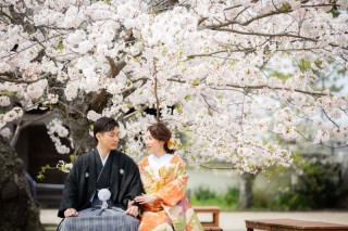 湿りがちな天気が続くので爽やかな写真を！