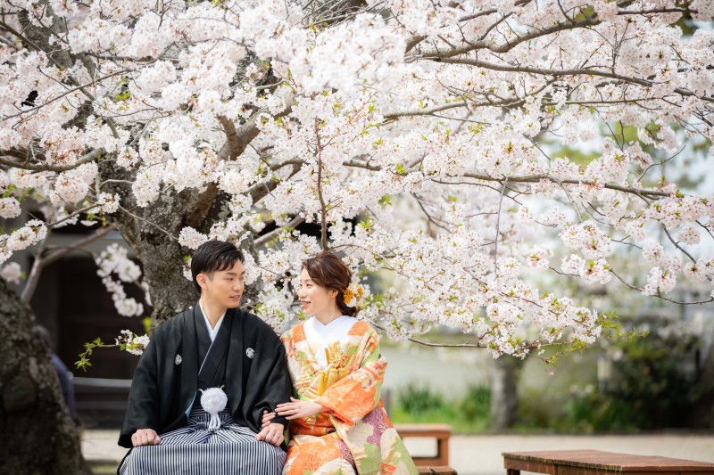 湿りがちな天気が続くので爽やかな写真を！