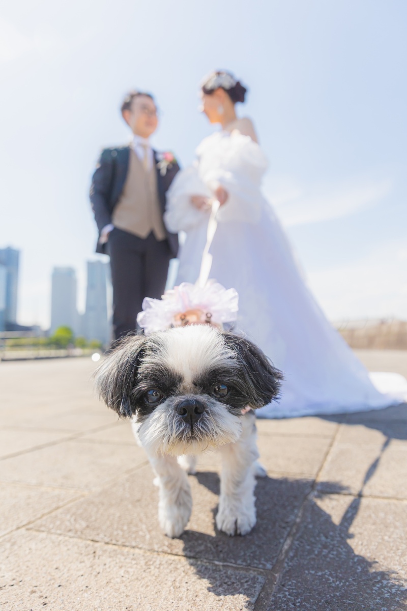愛犬と一緒に