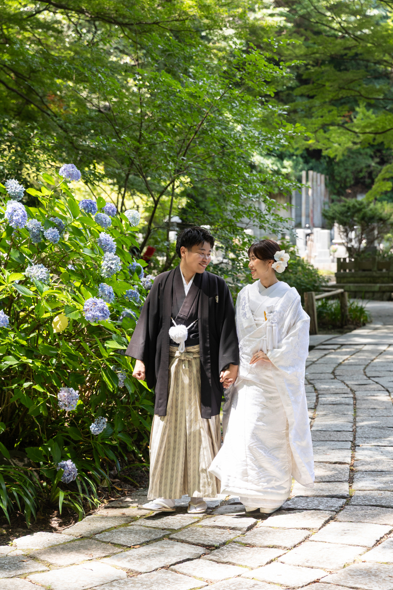 紫陽花