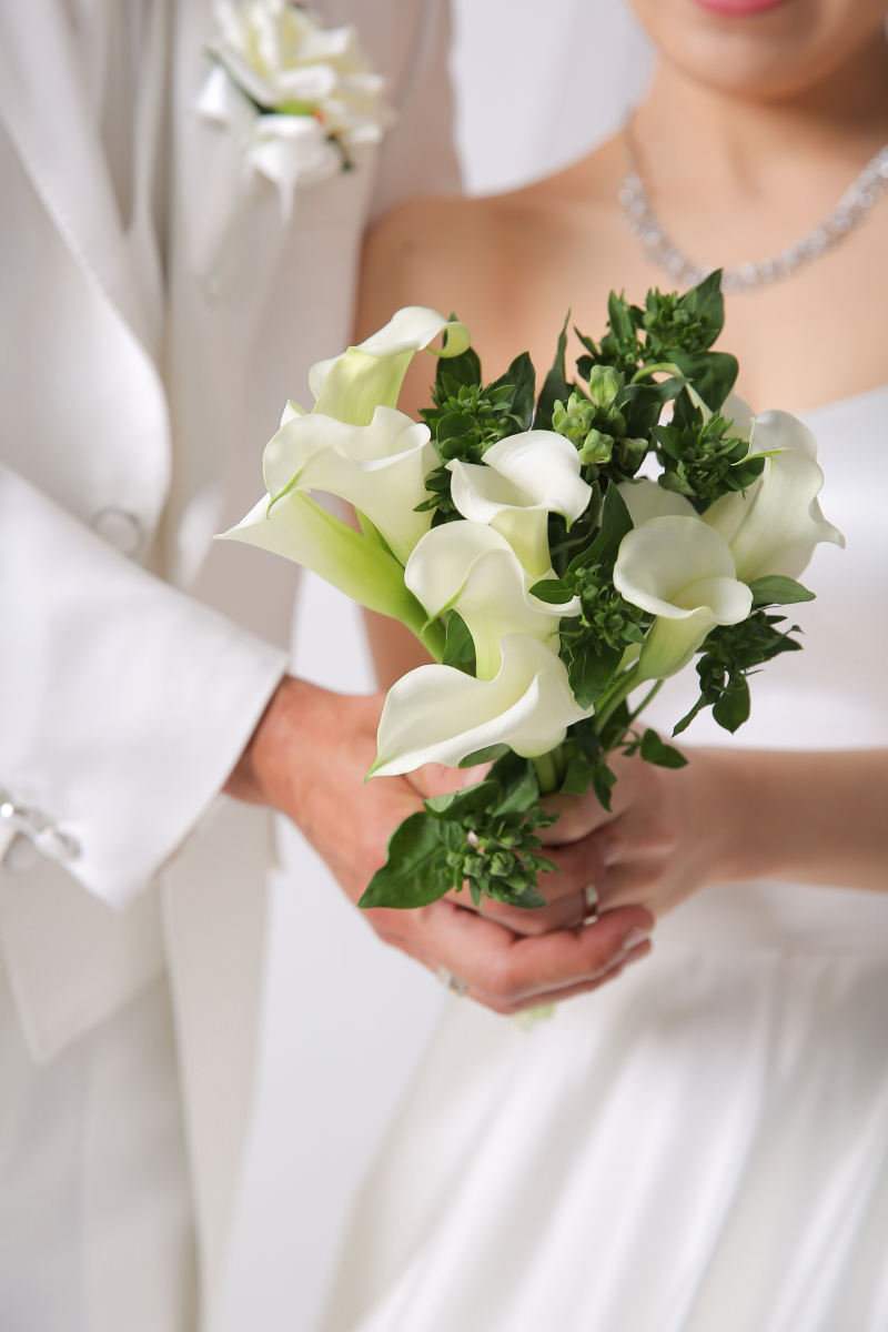 瑞々しい白いカラーのお花