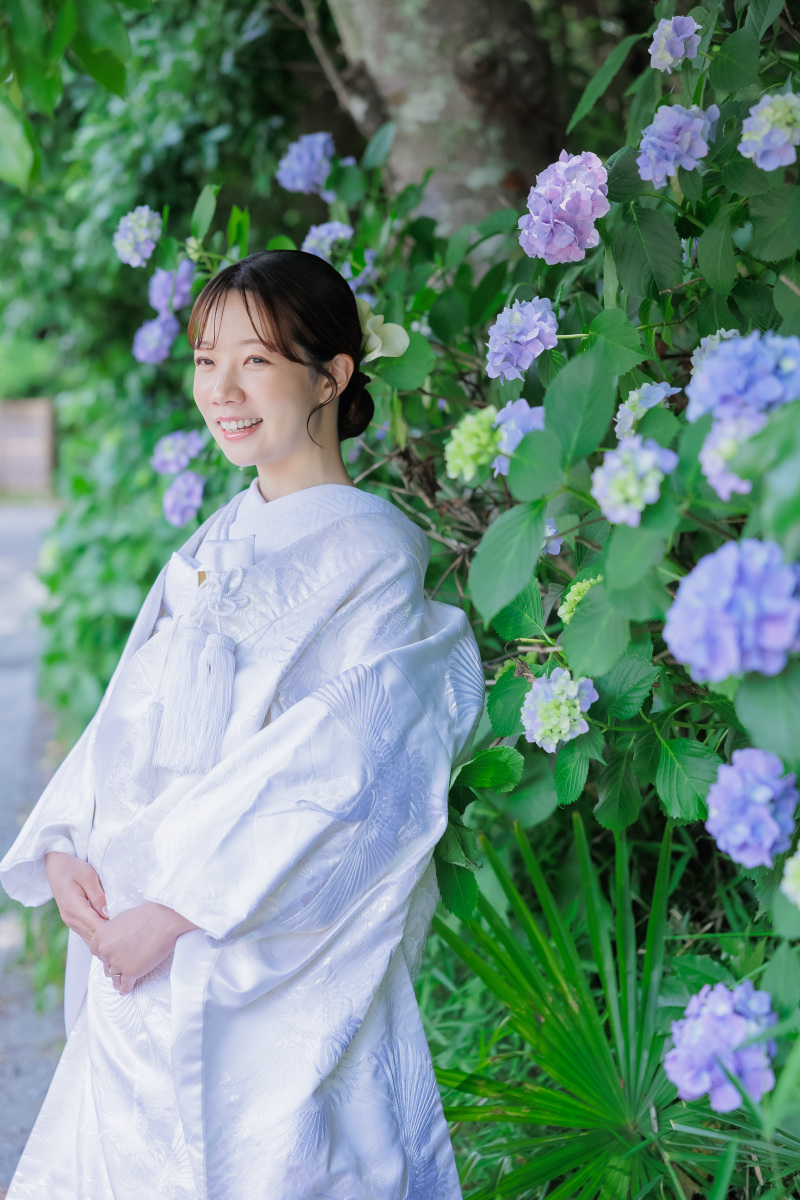 紫陽花