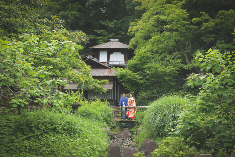 森に潜む、隠れ家的な家屋と