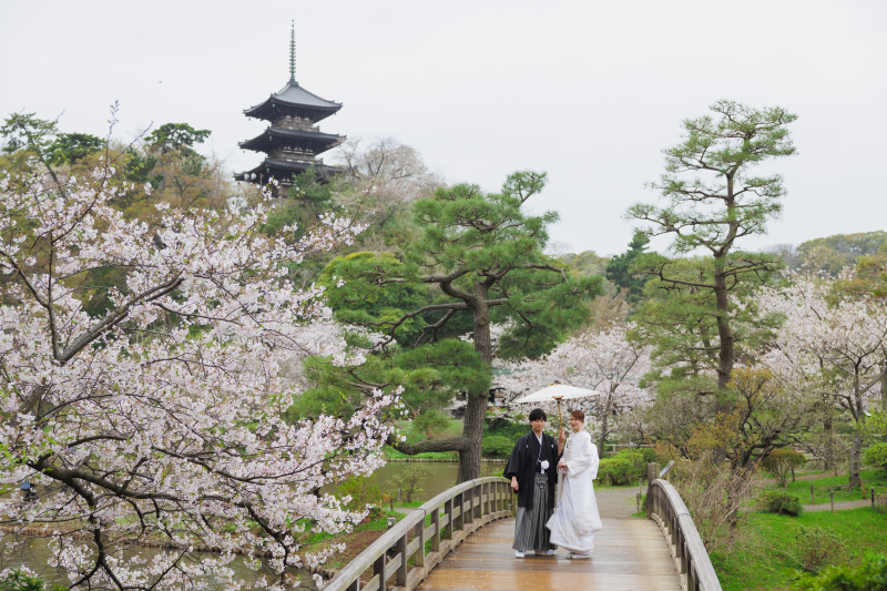 三重塔が見守る、歴史ある風景