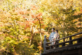 今年の鎌倉紅葉