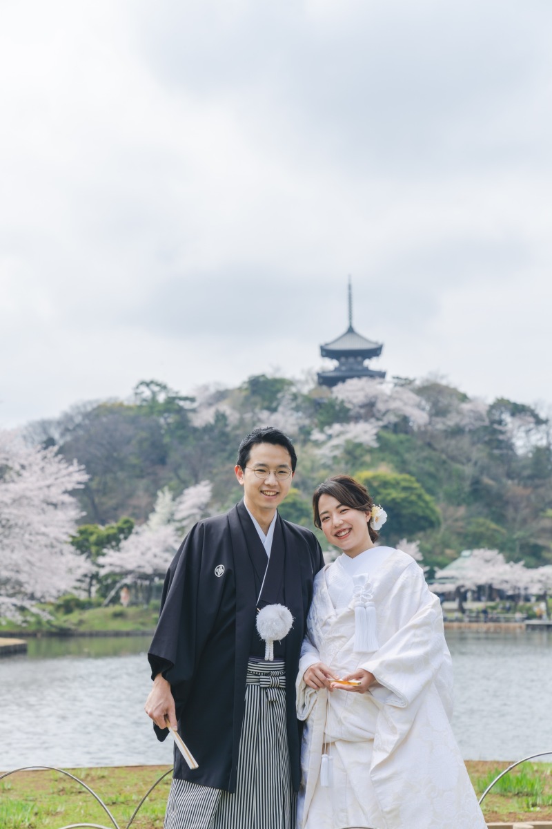 庭園で桜と撮影