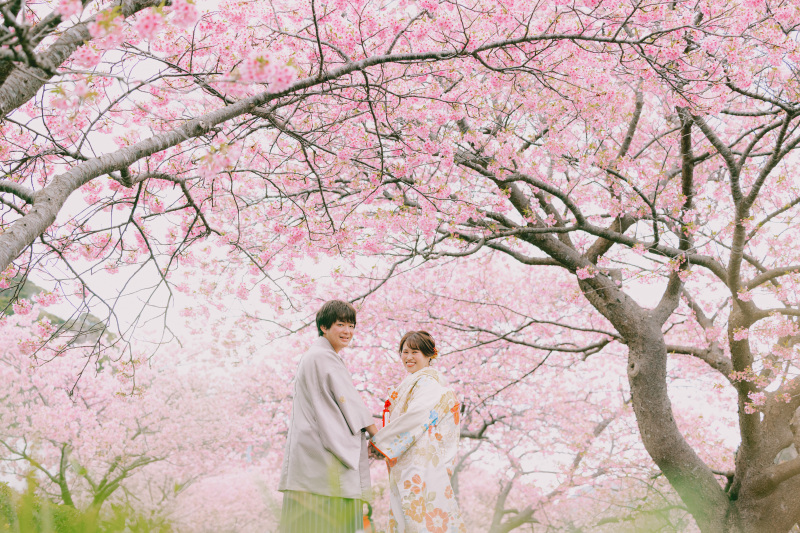 桜と一緒に撮影はいかが？
