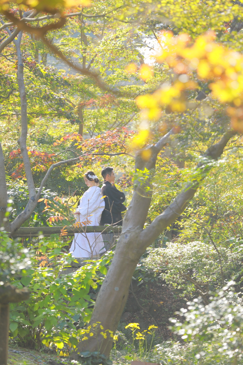 木々の中で一枚