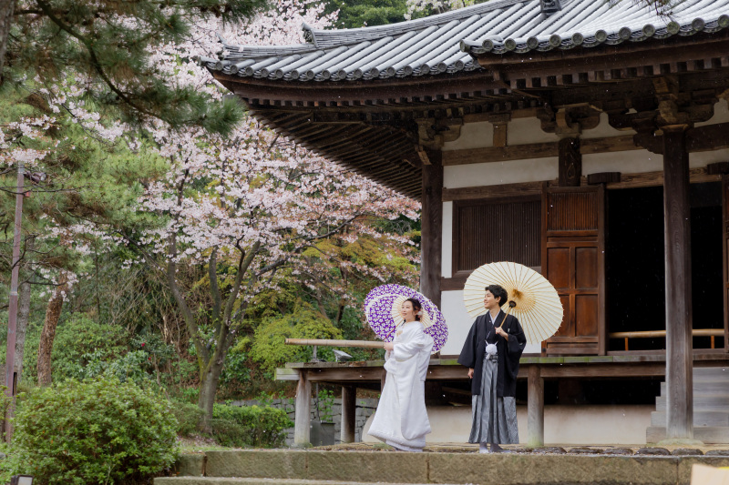 お寺と桜でthe和装