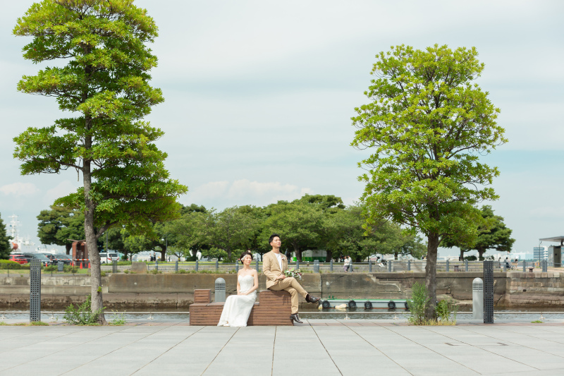 大きな木の下で
