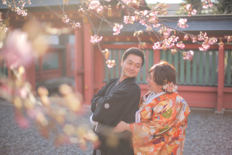 浅間大社の河津桜