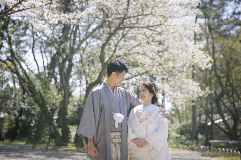 絶好の撮影日和