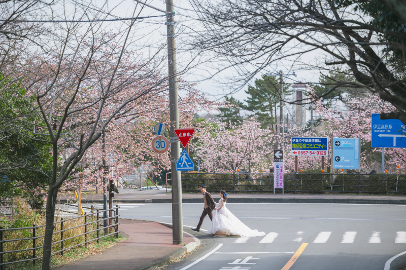 日常を彩る桜の街