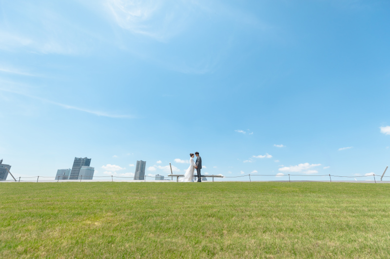 芝生と空と