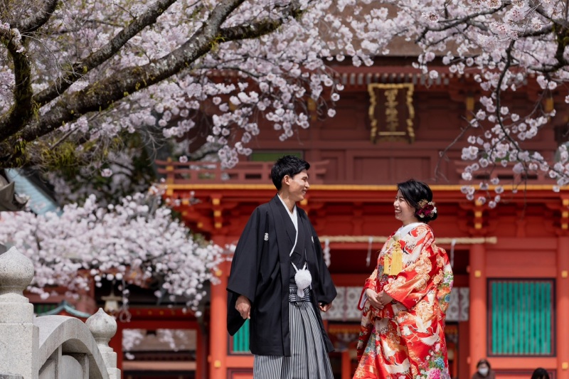 和装にぴったりの満開の桜で日本の春を満喫！