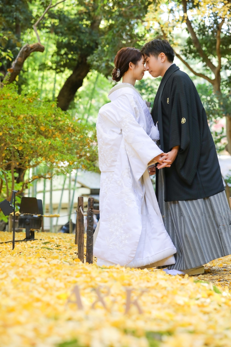 黄色の絨毯で！ 