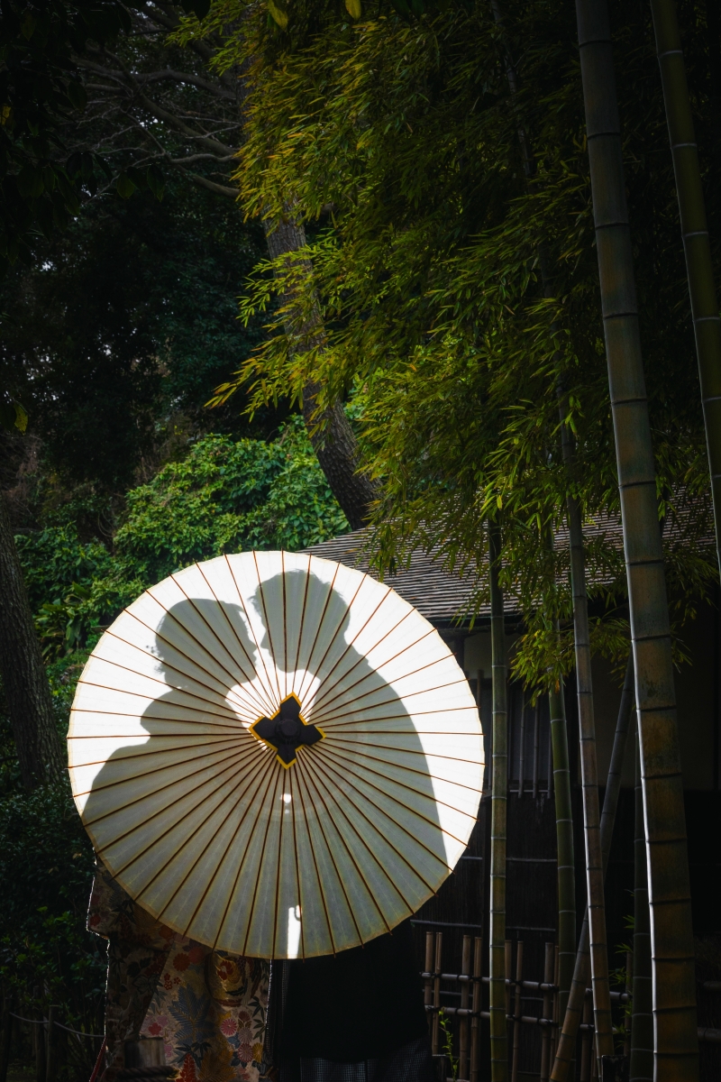 シルエットショットも