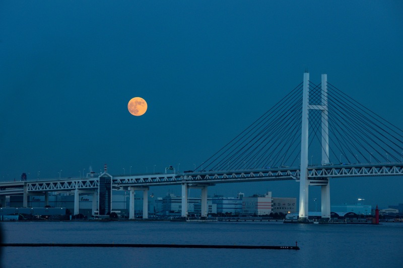 この日はなんと!!?