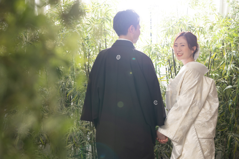 竹林に差し込む光、繋いだ手