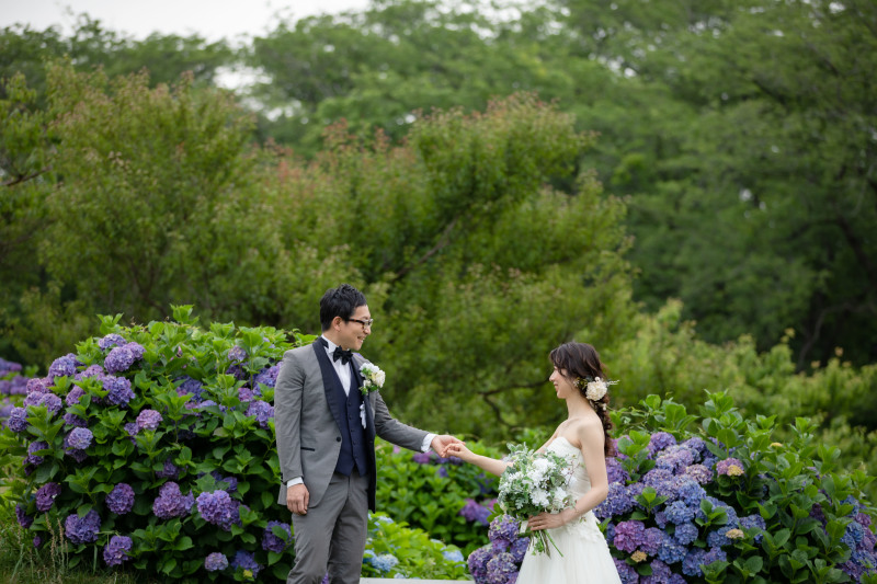 今年も紫陽花と一緒に