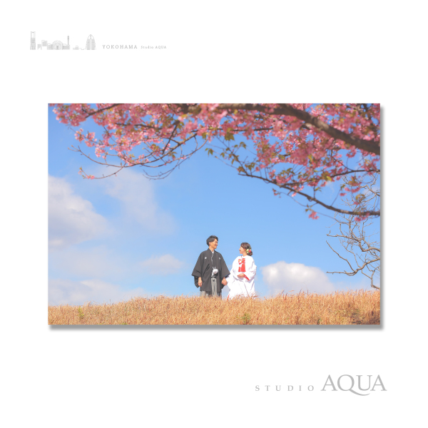 河津桜と富士山