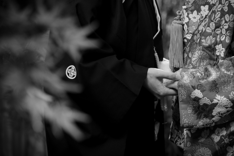 イメージカットも!