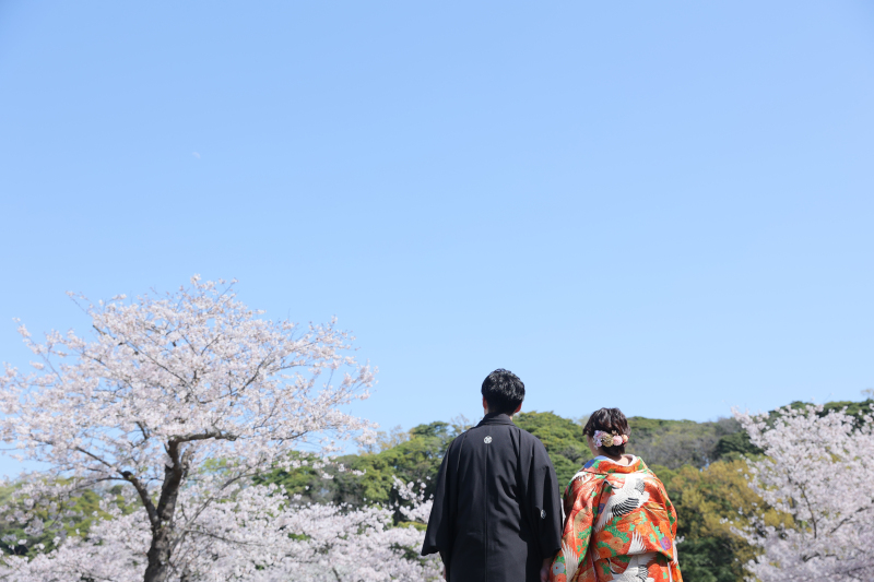 空と桜と