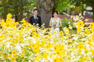 満開の向日葵に囲まれて・・