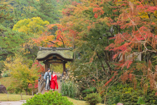 グラデーション美しい三渓園の紅葉　photo by谷澤明美