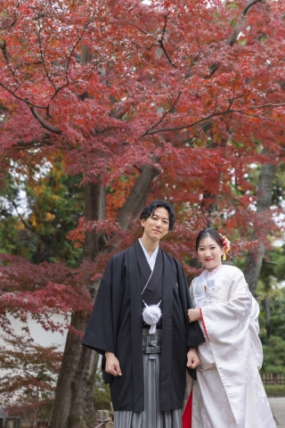 赤い紅葉と三渓園【和装ロケーション】