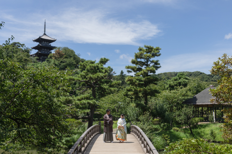 三溪園全体を映して