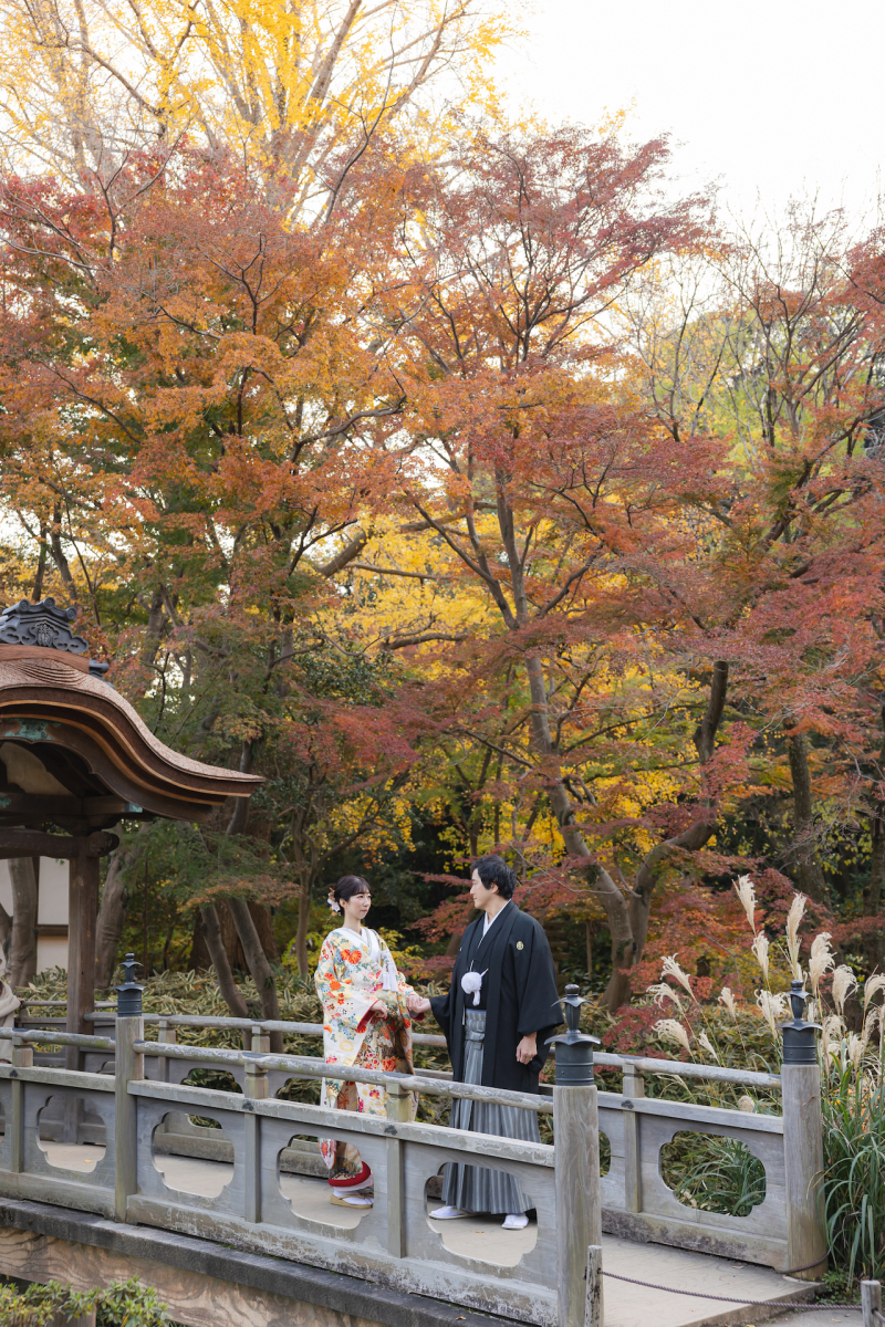 黄色と赤のコントラスト