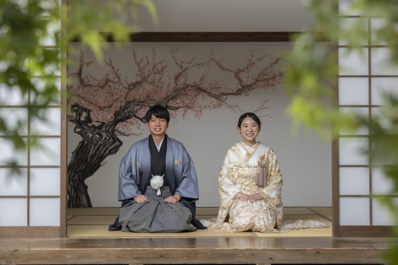 お茶室で正座のお写真も