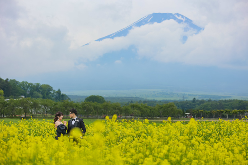 Mt .Fuji