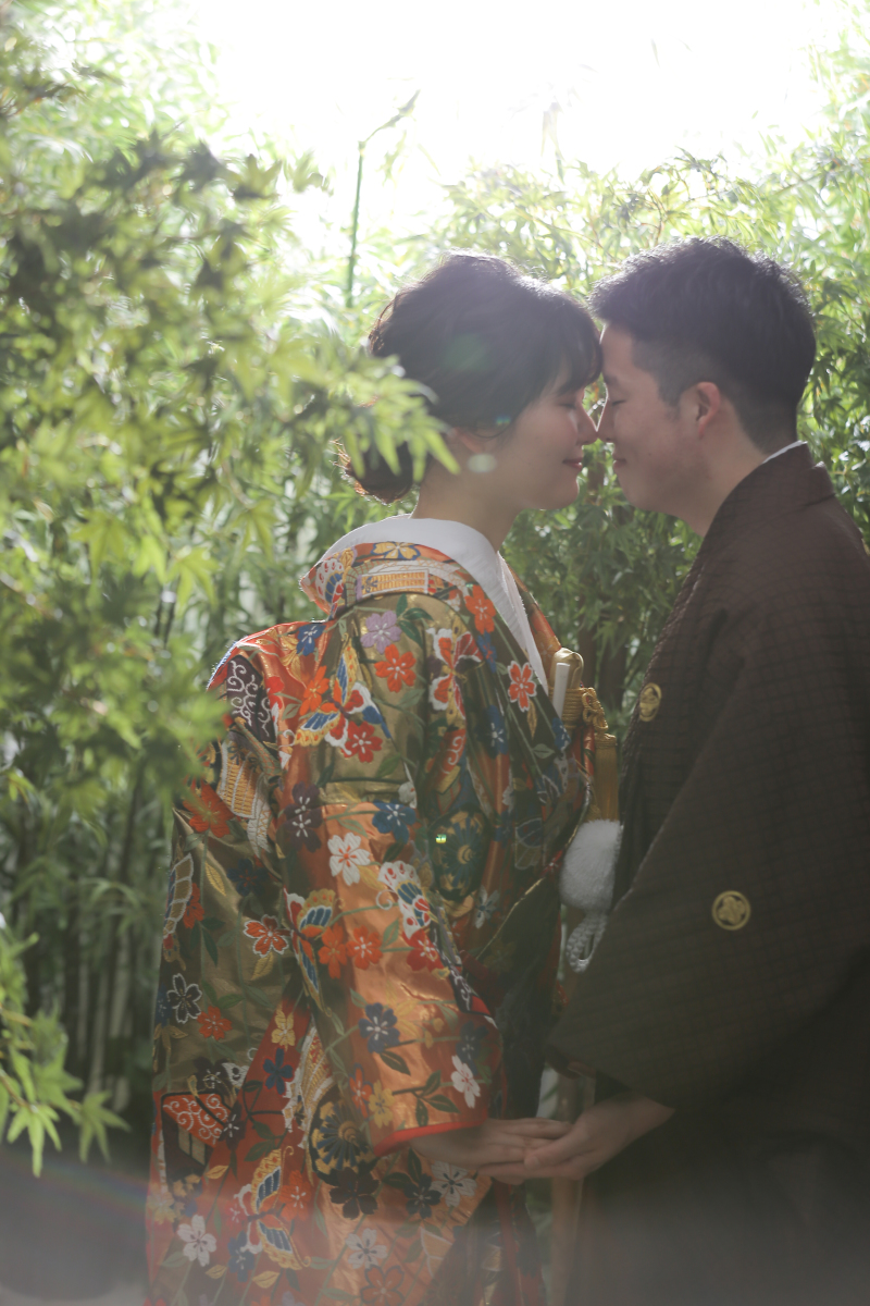 ロケーションみたいに撮れる竹林ゾーン