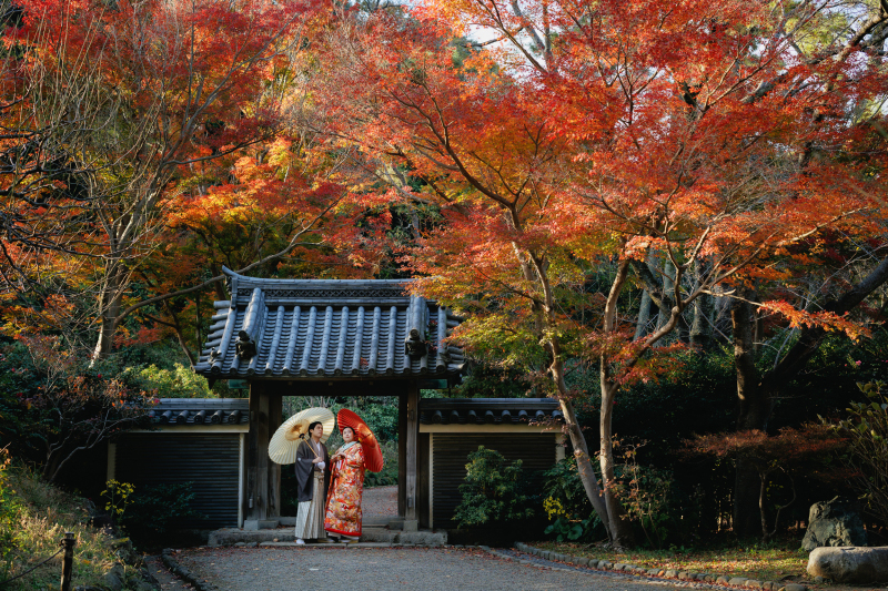 紅葉の綺麗な場所