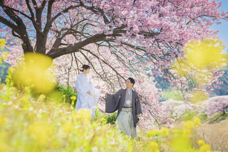 菜の花とのコラボレーションも素敵////