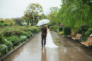 雨と緑と屋内庭園