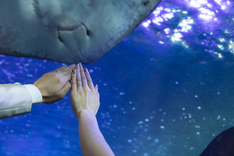 手元ショット！