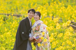 伊豆河津ロケーション（トイザクラ×菜の花）
