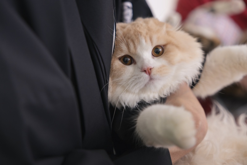 STUDIO AQUA 横浜みなとみらい店(スタジオAQUA)_ペットと一緒に撮影できる