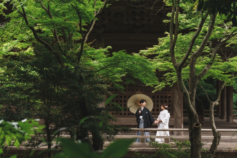 撮影スポット画像