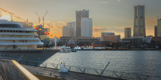 撮影に行った場所、お二人が見た景色も残します。