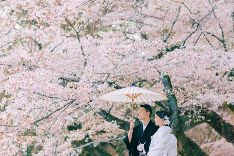 奈良公園での撮影