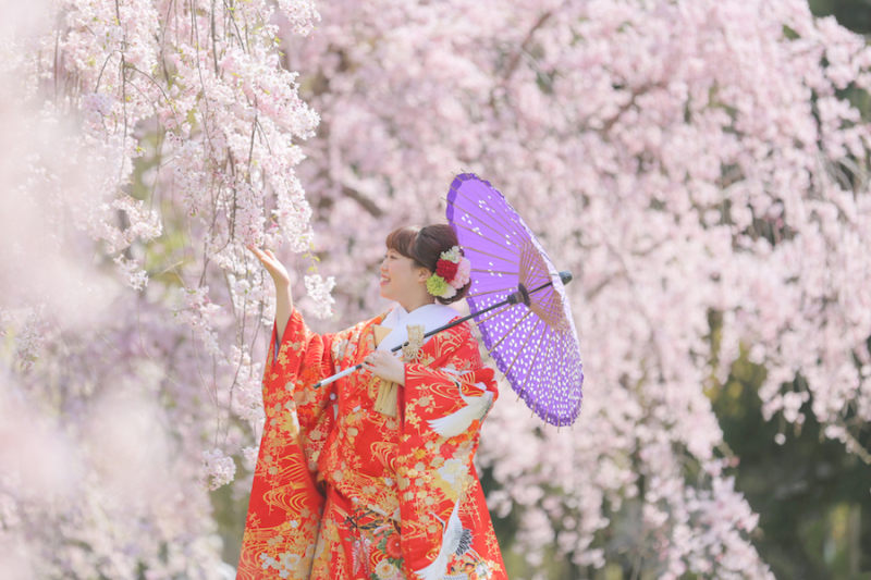 しだれ桜